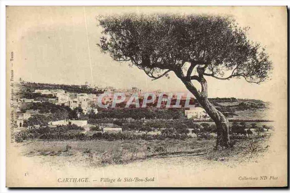 CPA Carthage Village de Sidi Bou Said