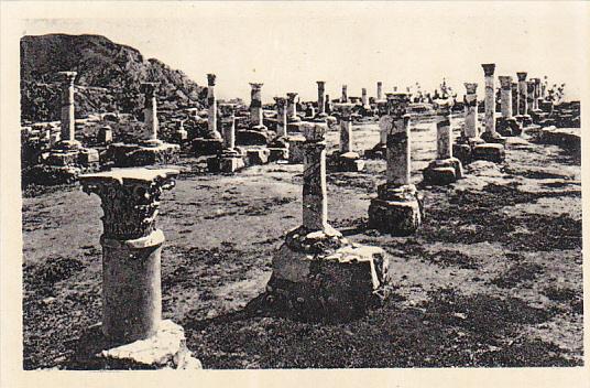 Tunisia Carthage Basilique de St-Cyprien