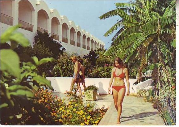 cpsm TUNISIE - HAMMAMET hôtel - les jardins luxuriants - société carthage à tunis - d3 121