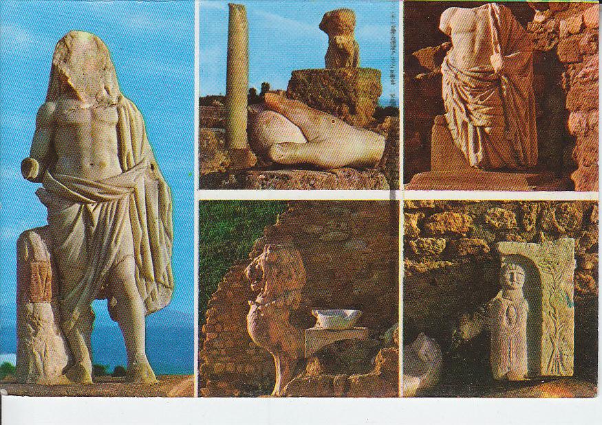 TUNISIE - cpsm CARTHAGE - antiquarium - kahia à tunis - d21 405