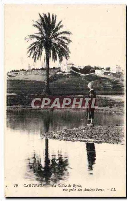CPA Tunisie Carthage Le Coline De Byrsa vue Prise Des Anciens Po