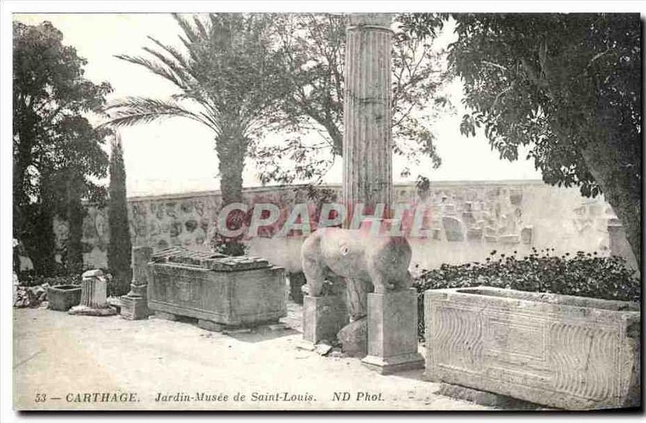 CPA Tunisie Carthage Jardin Musee de Saint Louis Cheval Horse