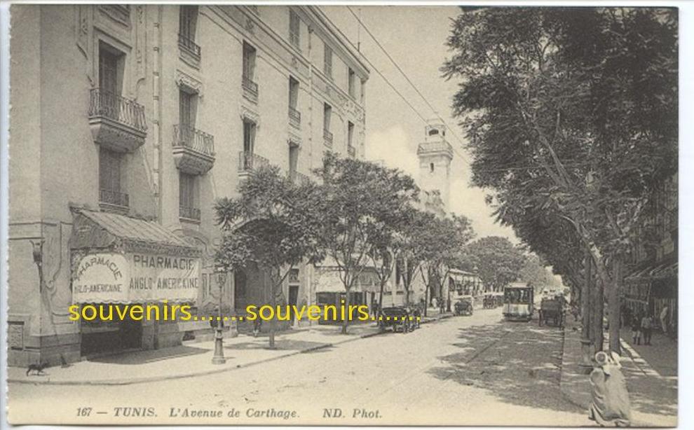 CPA TUNISIE TUNIS L&acute;Avenue de Carthage