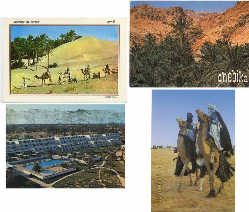 TUNISIA - 10 cartoline circolate - Sbeitla-Chebika-Hotel Calypso- Sahara de Douz-Sidi Bou Said-Caravane-Mehair-