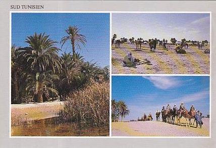 TUNISIA - AK 20007 Sud Tunisien - Douz