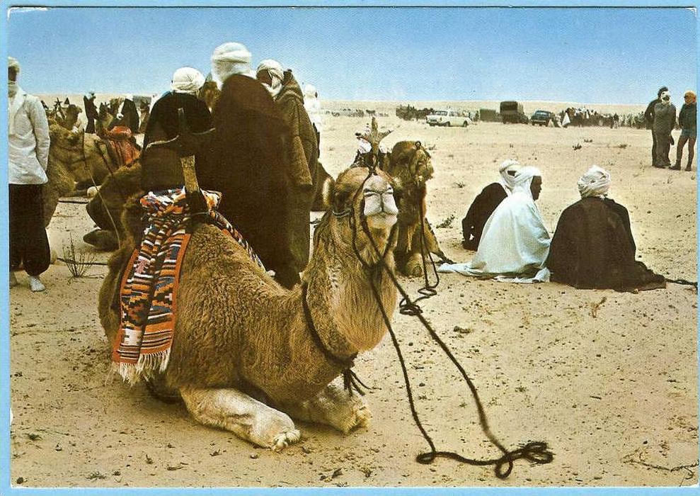 CARTE POSTALE SUD TUNISIEN FESTIVAL DE DOUZ