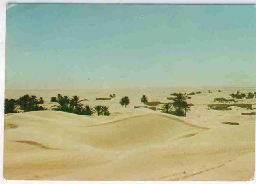 TUNISIA - Sud Tunisie 0006 Douz - Les dunes de Zaafran