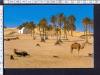 M5742 EL FAOUAR DOUZ TUNISIE Viaggiata F/G Cartolina-Postcard