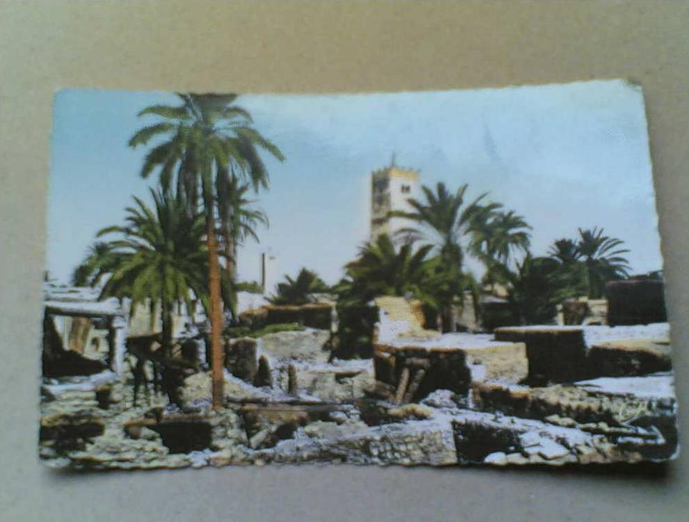 CPSM DE EL HAMMA Villa du K'Sar