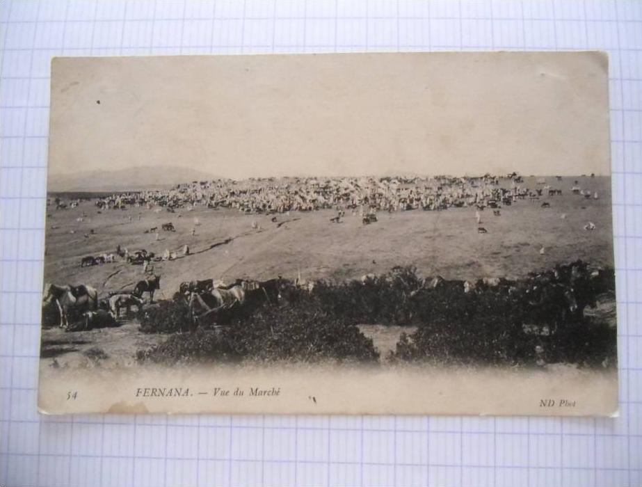 Tunisie - CP n° 754P - Fernana, Vue du Marché - CPA/E 1905