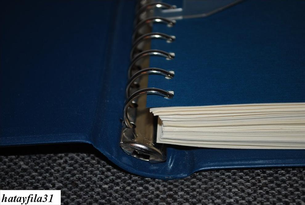 Royal Wedding Charles + Diana 1981 in Linder Vd. Alben ( S - 209 )