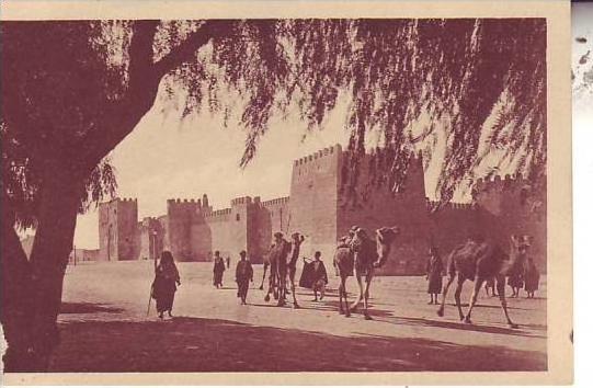 TUNISIE - un joli coin du sud - citadelle de GAFSA - nr 13 prouho à hussein dey - d4 275