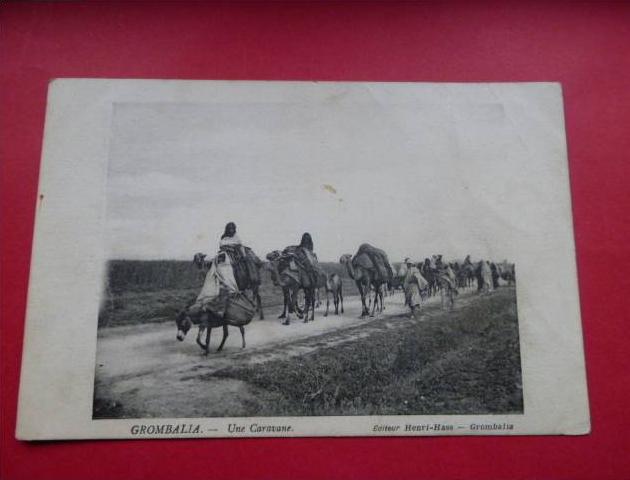GROMBALIA Une Caravane edit henri hass .circulee .nomades ane dromadaire tunisie