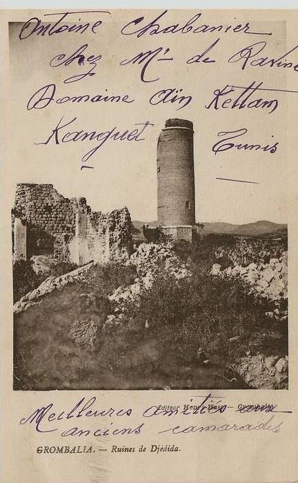 TUNISIE GROMBALIA ruines de djedida ............ AJ411