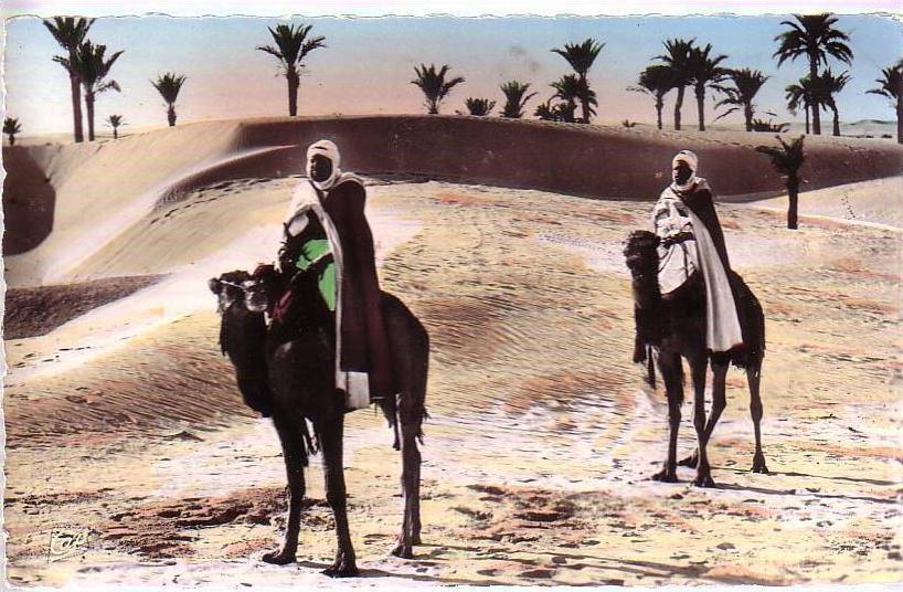 Afrique > Tunisie < NABEUL Grombalia