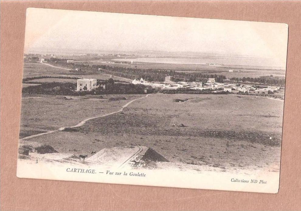 CARTHAGE VUE SUR LA GOULETTE OLD POSTCARD COLLECTION ND PHOT