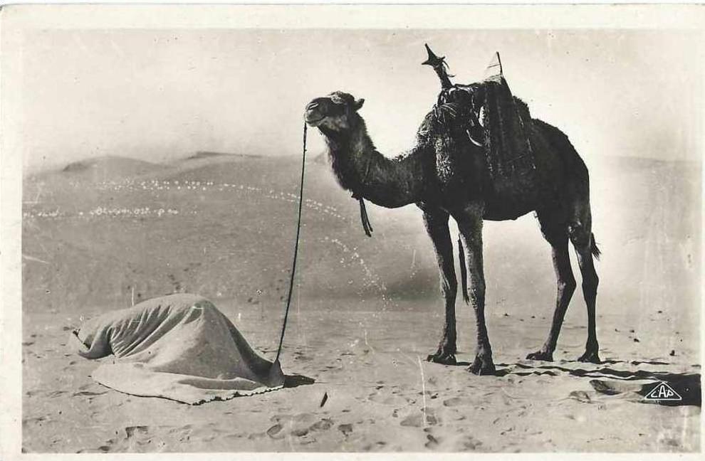 Tunisie - Scènes et types - 1120 - La prière au désert - circulé en 1948 à La Goulette - courrier militaire - TBE