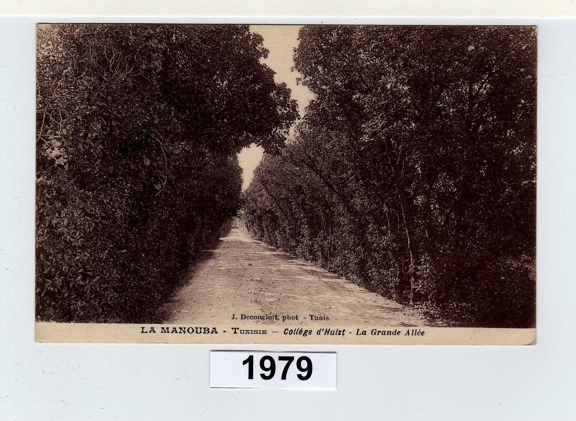 la manouba college d'hulst la grande allee