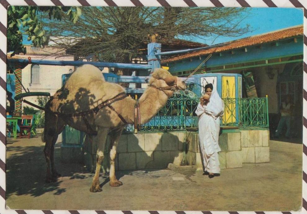 3AC270 LA MARSA CAFE DU SUD SAF 2 SCANS