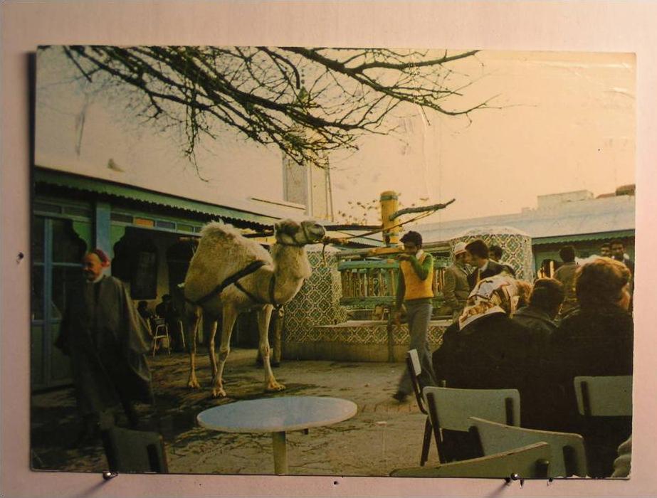 La Marsa - Café du Saf Saf