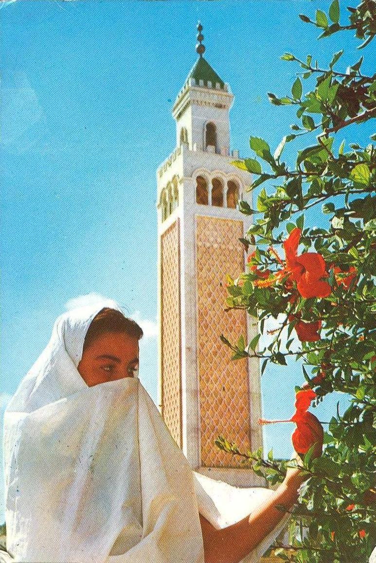 Tunisia - La Marsa - Le Minaret - 1969 used Postcard [P2255]