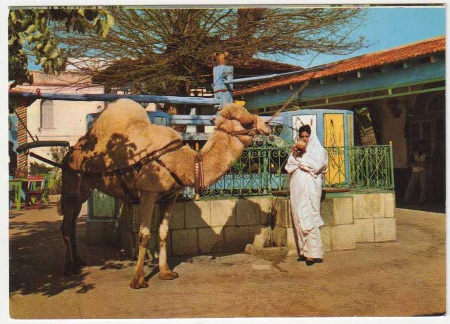 La Marsa - Café du Saf-Saf