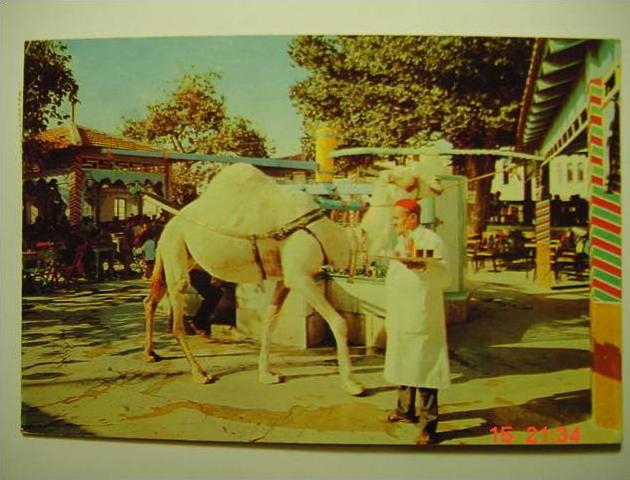3834 LA MARSA LE CAFÉ NORIA TUNISIE POSTCARD YEARS / AÑOS 1970 OTHERS IN MY STORE