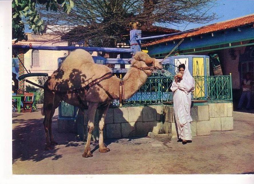 LA MARSA - Café du Saf - Saf
