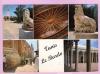 CPM 10*15/P628/TUNIS LE BARDO MULTIVUES