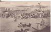 25-Mateur-Tunisia-Mercato -Marché-Market-1910 x Tunis
