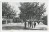 cpsm bon etat ,   menzel-bourguiba , ferryville ,  avenue de france , animation