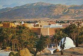 Superbe CP Tunisie Gafsa l'Oasis avec paite de TP Mahdia circulée années 1980
