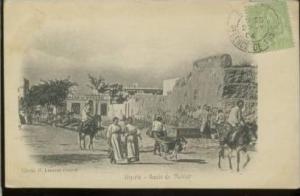 BIZERTE route de Mateur