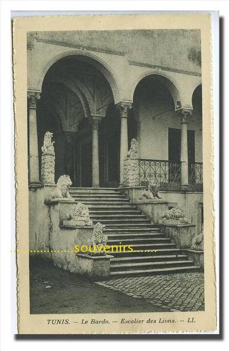 CPA TUNISIE TUNIS Le Bardo Escalier des Lions