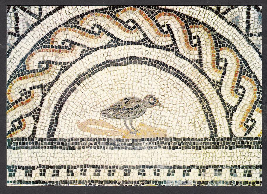 31689/ LE BARDO, Musée National, 