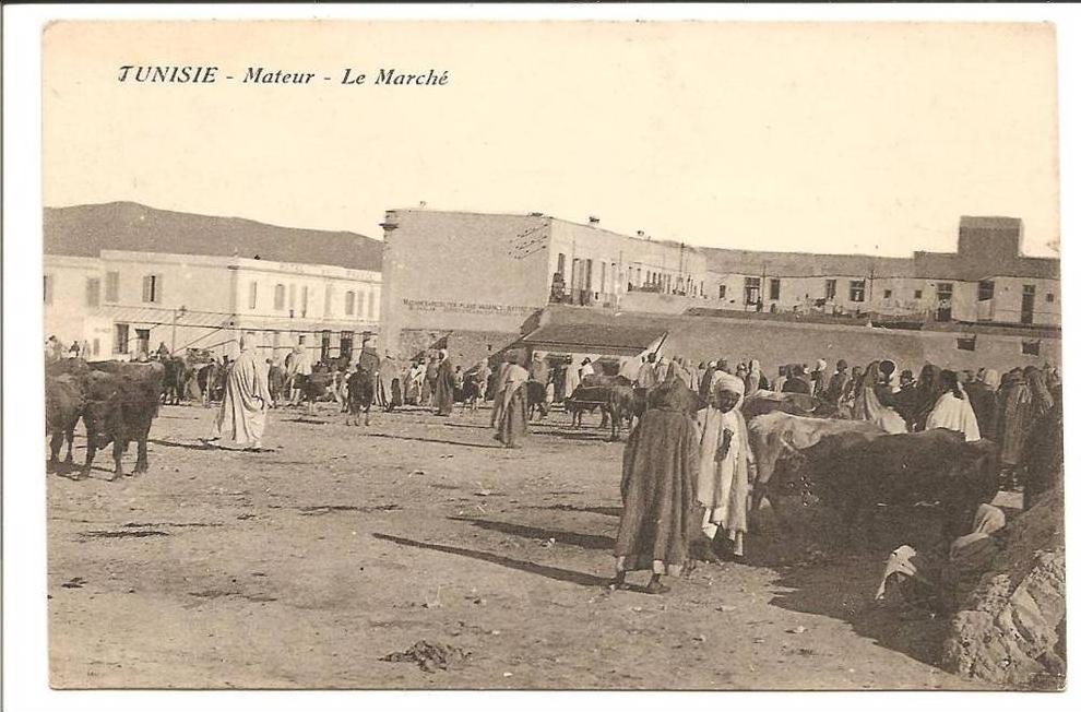 Tunisie Mateur . Le Marché
